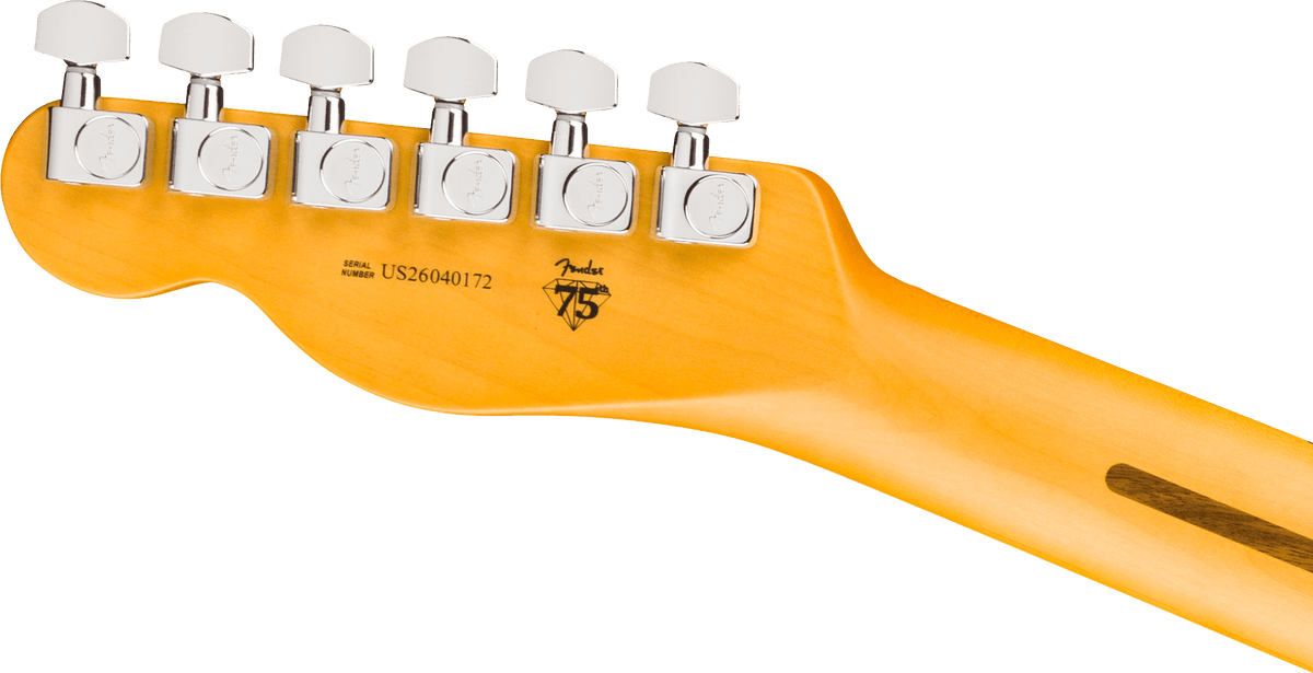 Fender American Professional Telecaster MN - Natural