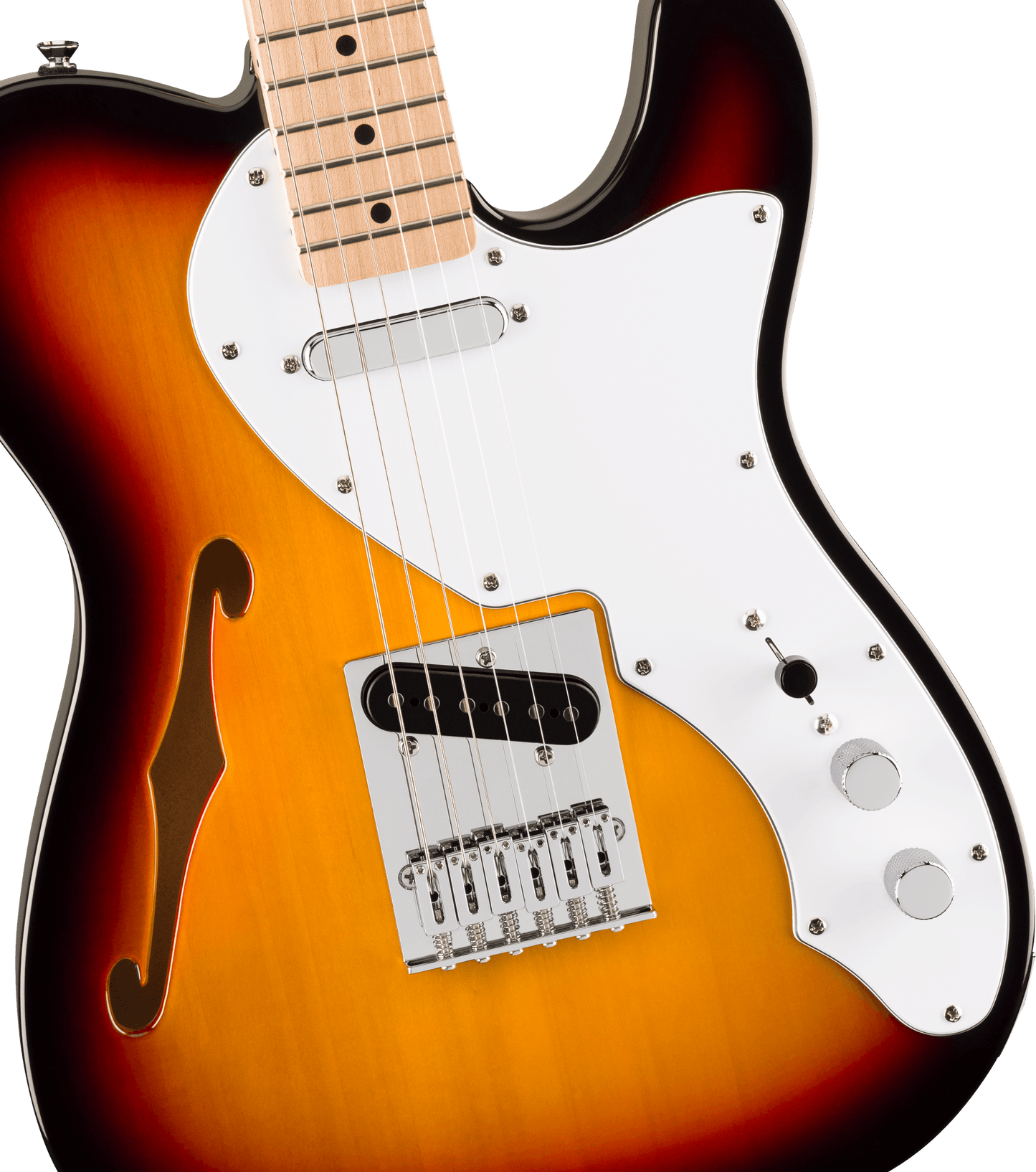 Squier Affinity Series Telecaster Thinline - 3-Color
