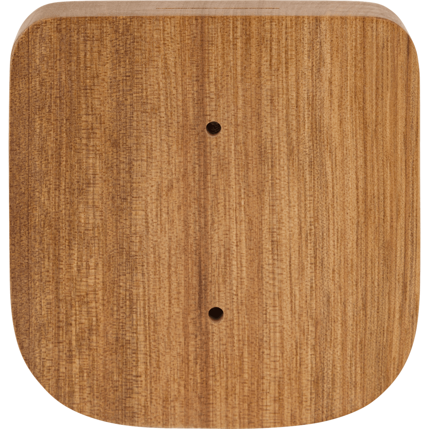 Fender Level-Up Strat Wall Hanger-ACCESSORIES-Joondalup Music Centre