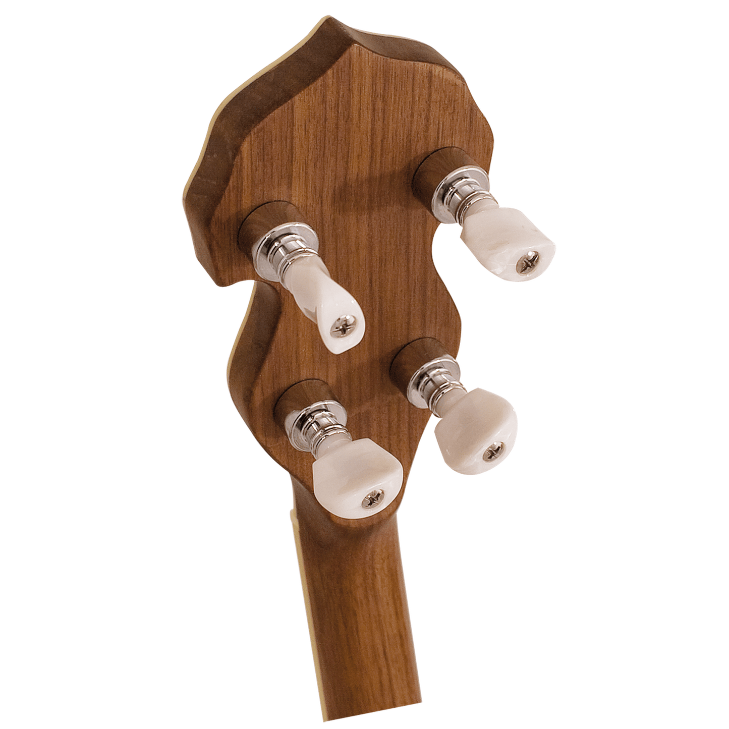 Barnes & Mullins BJ500BW Empress 5 String Banjo - Burl Walnut-BANJO-Joondalup Music Centre