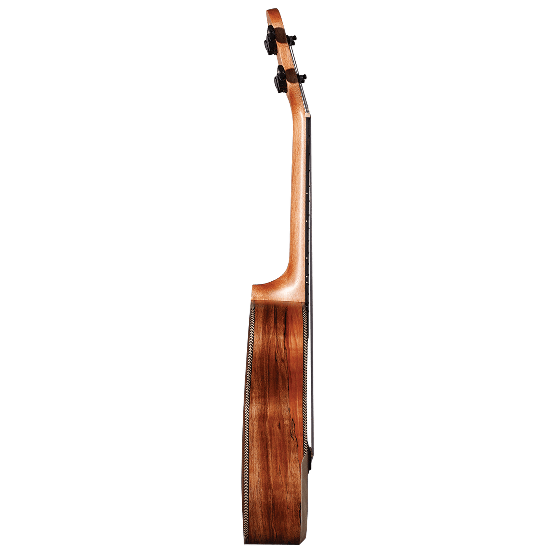 Barnes & Mullins BMUK9C Concert Ukulele - Joondalup Music Centre