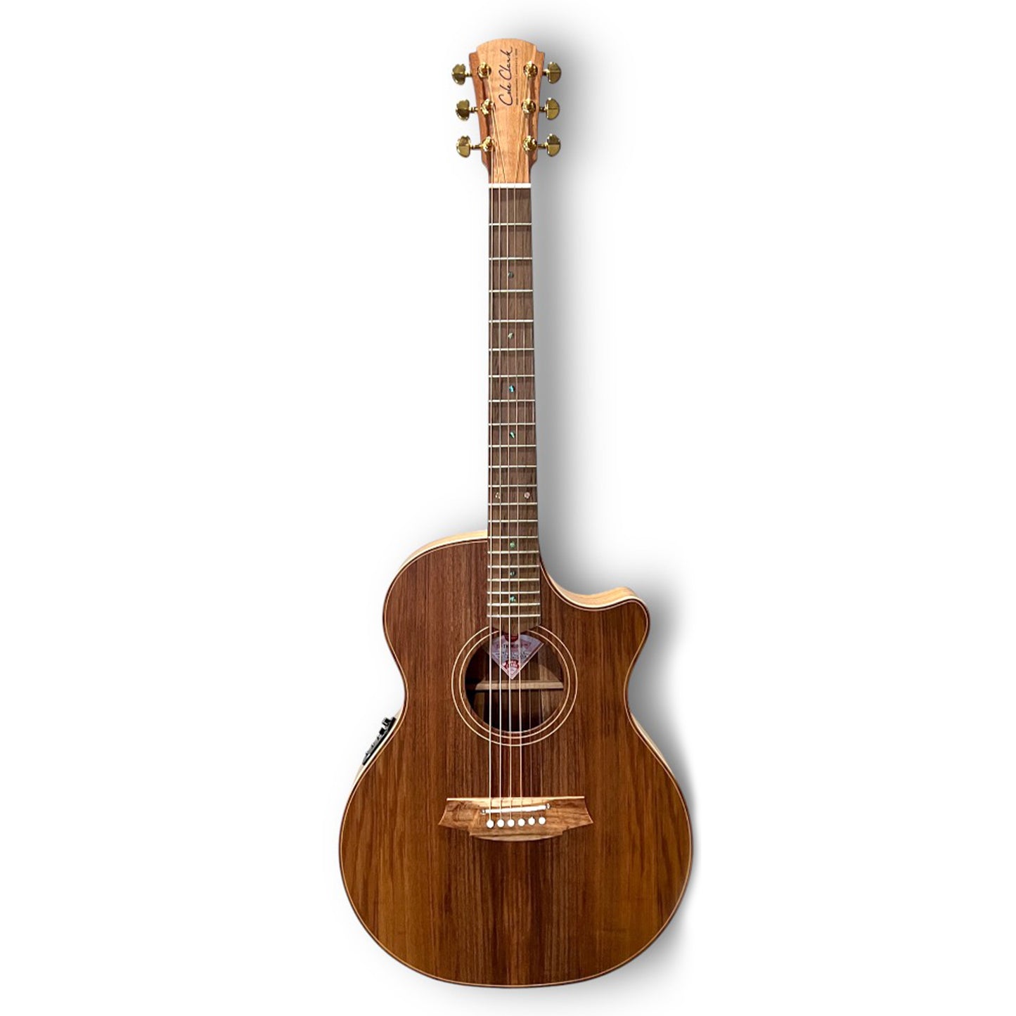 Cole Clark CCTL2EC-BLBL Thin Line Grand Auditorium Acoustic Guitar - Oak/Blackwood from Joondalup Music Centre