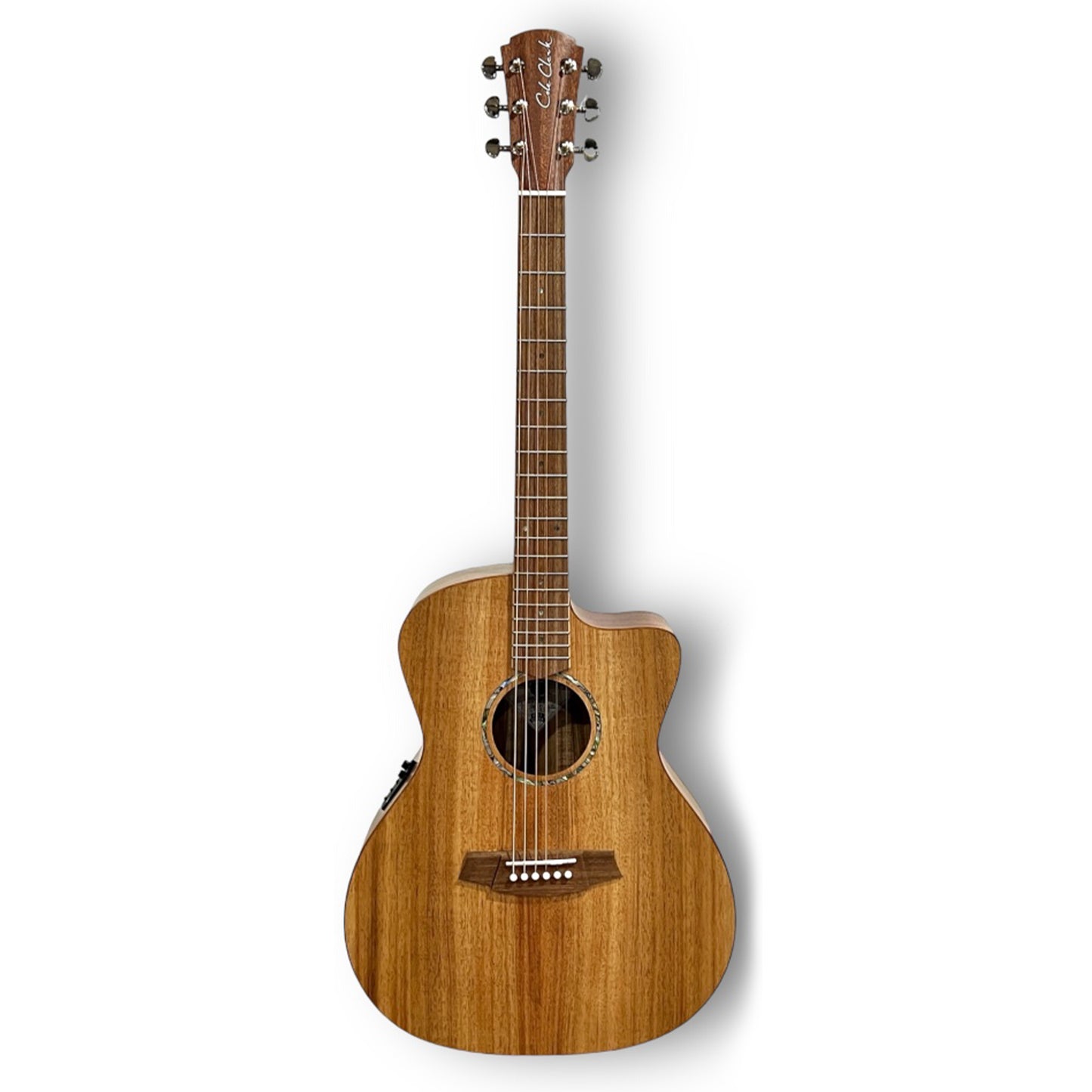 Cole Clark SAN1EC-BLBL Grand Auditorium Acoustic Guitar - Blackwood from Joondalup Music Centre