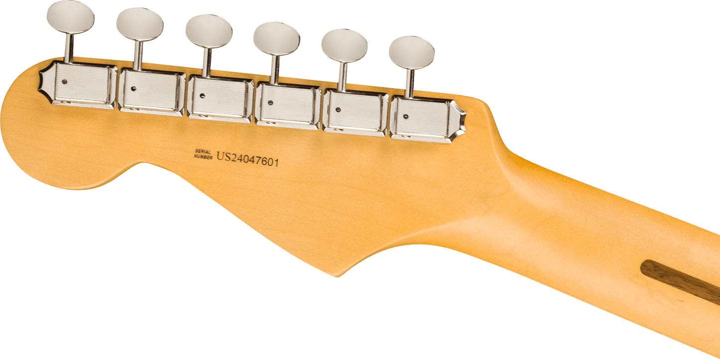 Fender American Professional Classic Stratocaster - Faded Dakota Red from Joondalup Music Centre 6
