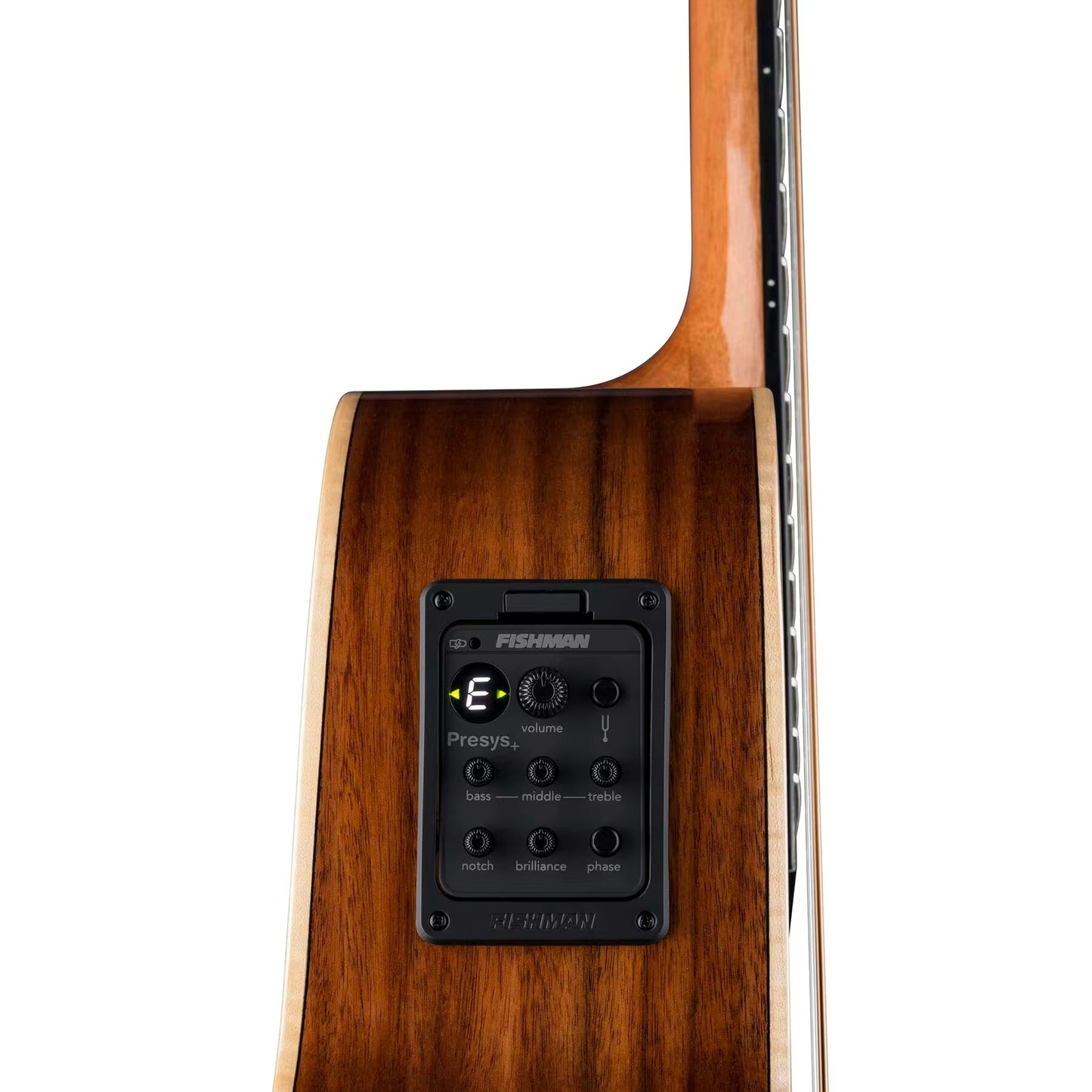 Luna Vista Eagle Acoustic Guitar w/Case from Joondalup Music Centre 6