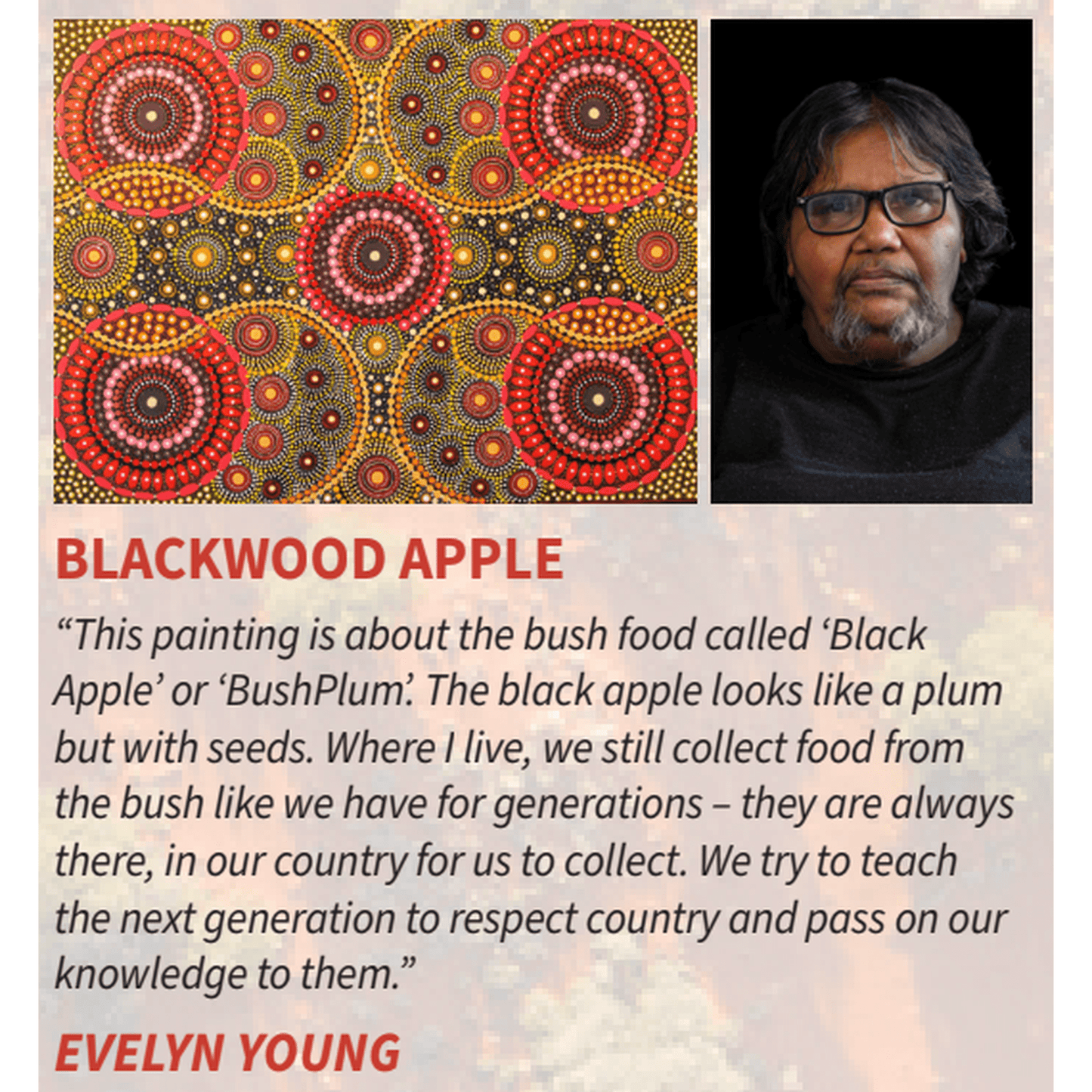 Kala Desert Storylines by Evelyn Young Concert Ukulele