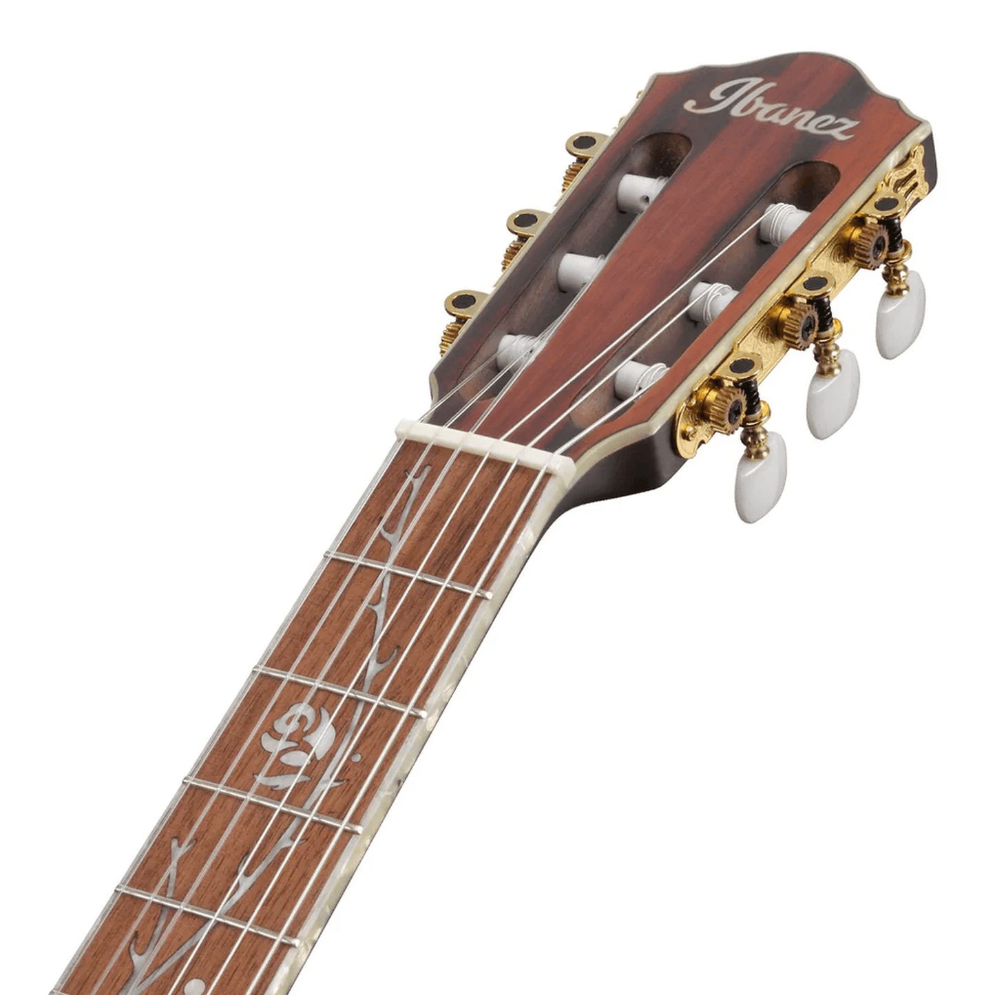Ibanez TOD10NL TKF Tim Henson Left Handed Acoustic Guitar - Trans Black Flat