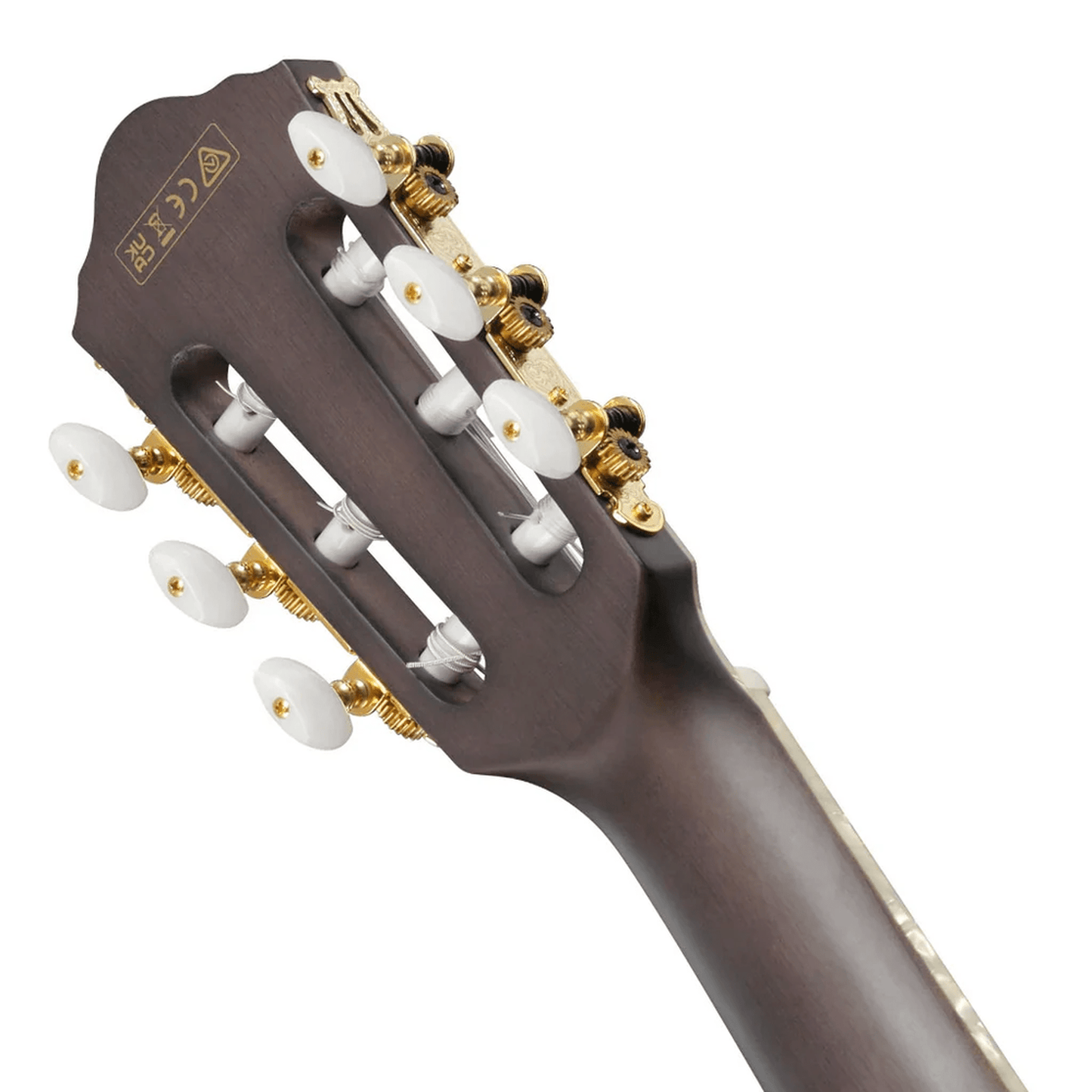 Ibanez TOD10NL TKF Tim Henson Left Handed Acoustic Guitar - Trans Black Flat