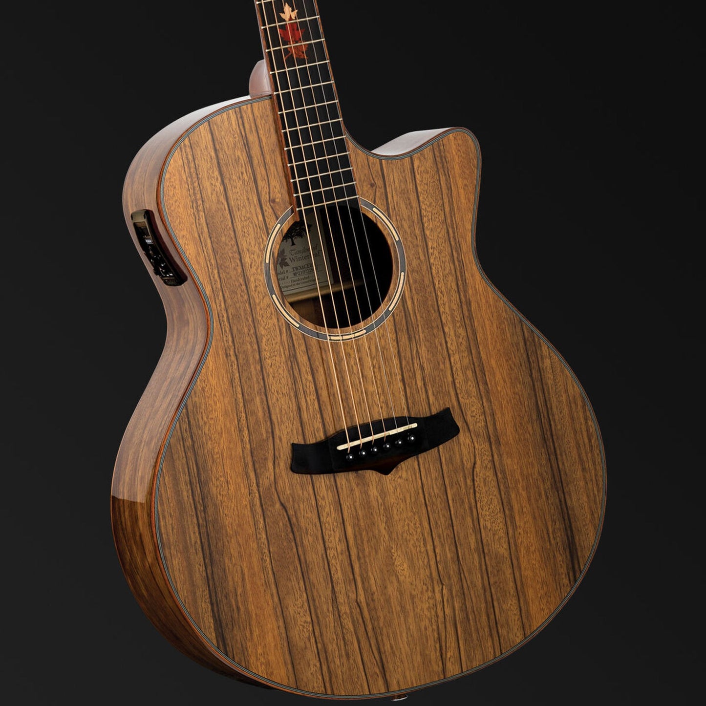 Tanglewood Winterleaf Exotic Superfolk Solid Top Venetian Acoustic Guitar - Black Walnut
