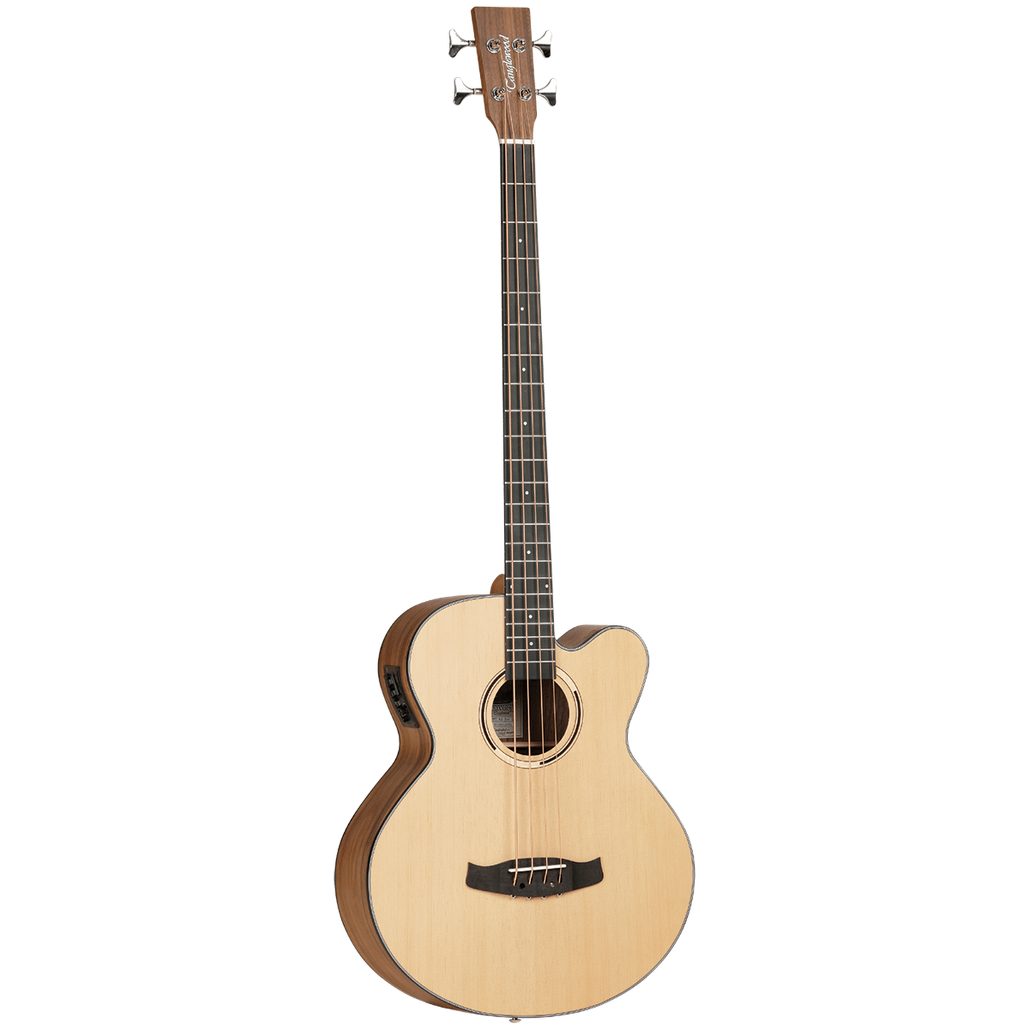 Tanglewood TDBTABBW Discovery Exotic Acoustic Bass - Black Walnut from Joondalup Music Centre