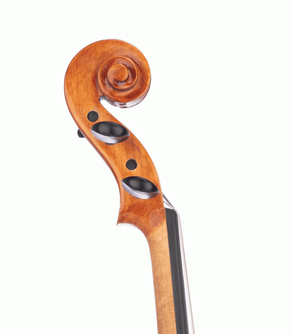 BEALE VIOLIN - STANDARD 3/4 SIZE OUTFIT - BV134 - Joondalup Music Centre