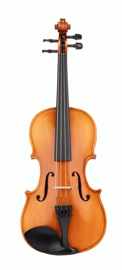 BEALE VIOLIN - STANDARD 3/4 SIZE OUTFIT - BV134 - Joondalup Music Centre