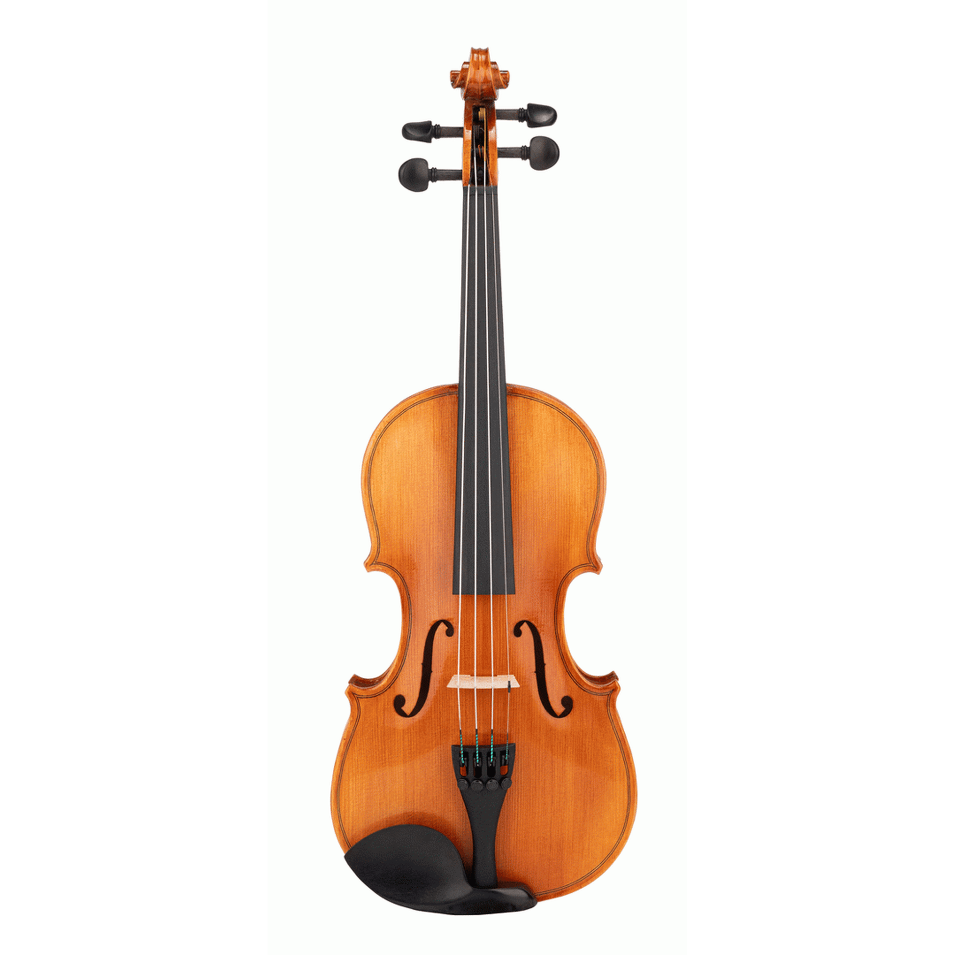 Beale BV112 Violin Standard 1/2 Size Outfit - Joondalup Music Centre