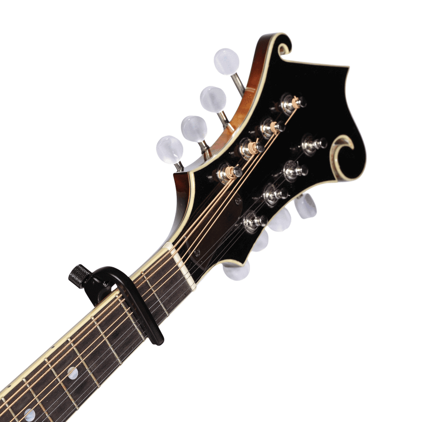 DADDARIO CP11 BANJO/MANDOLIN CAPO - Joondalup Music Centre
