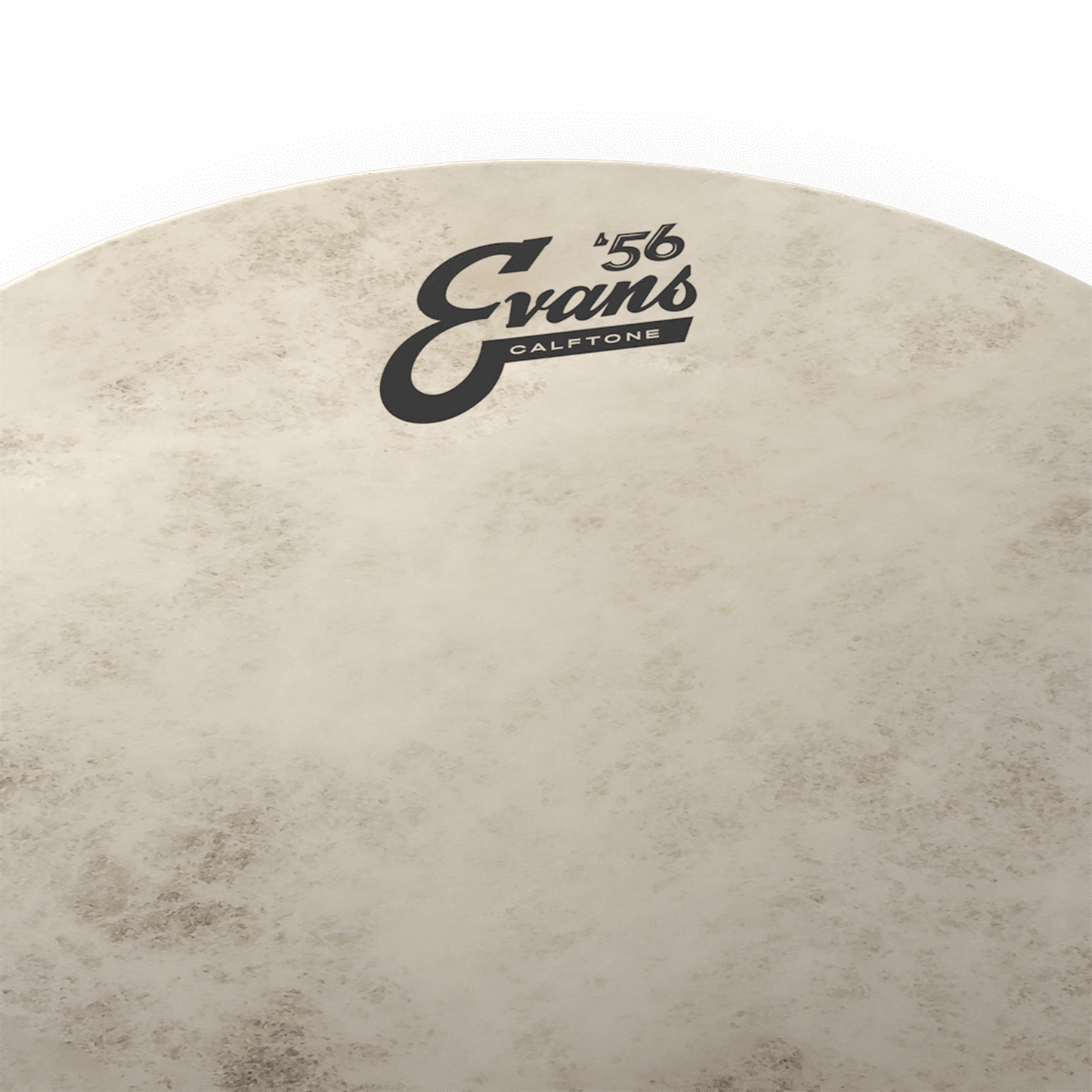 EVANS CALFTONE TOM BATTER, 14 INCH - Joondalup Music Centre