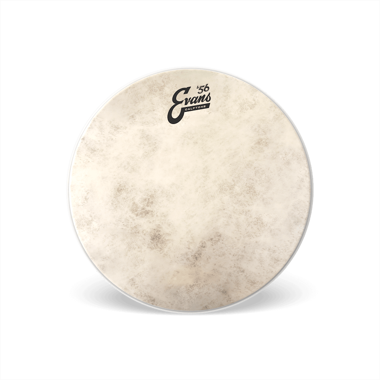 EVANS CALFTONE TOM BATTER, 15 INCH - Joondalup Music Centre