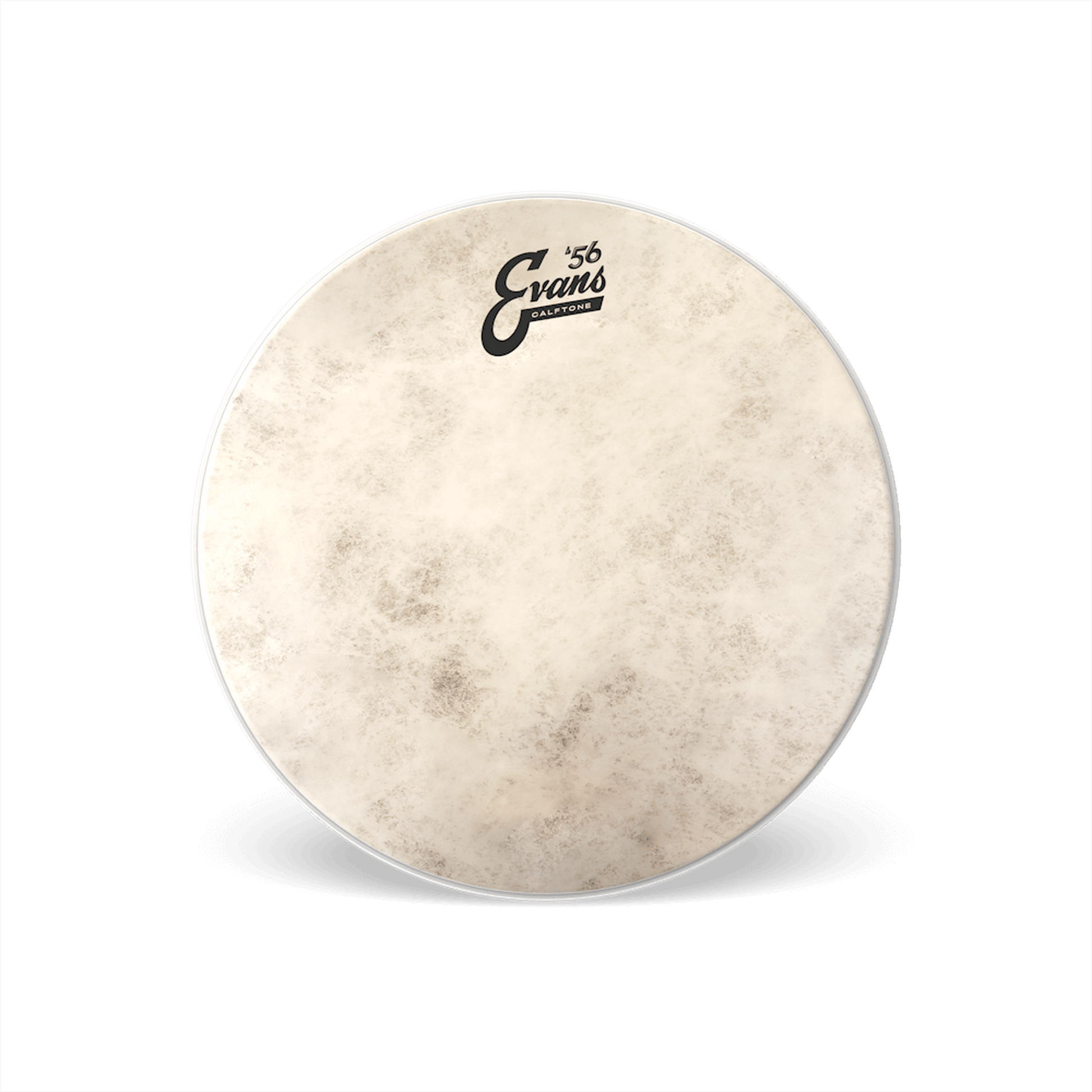 EVANS CALFTONE TOM BATTER, 16 INCH - Joondalup Music Centre