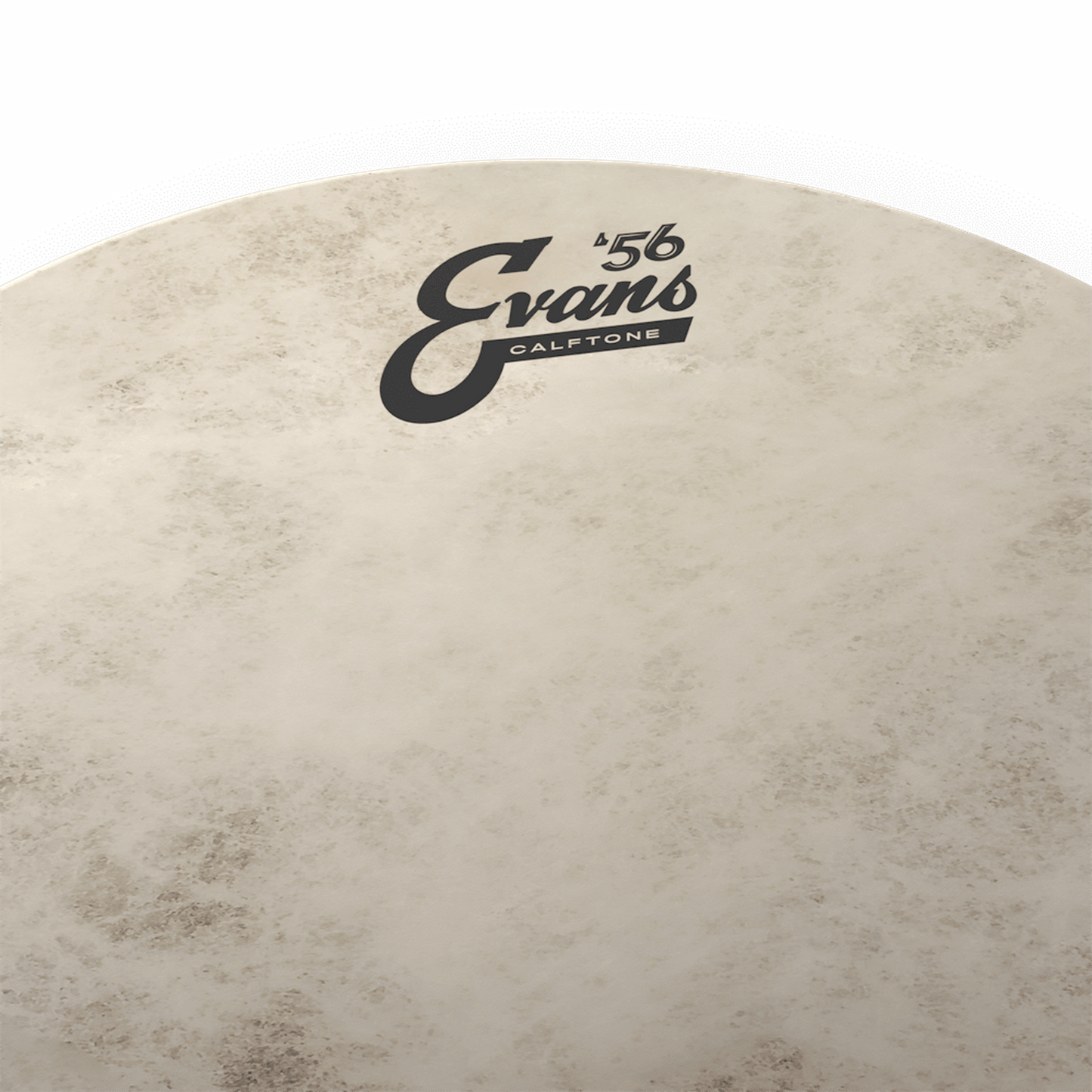 EVANS CALFTONE TOM BATTER, 8 INCH - Joondalup Music Centre