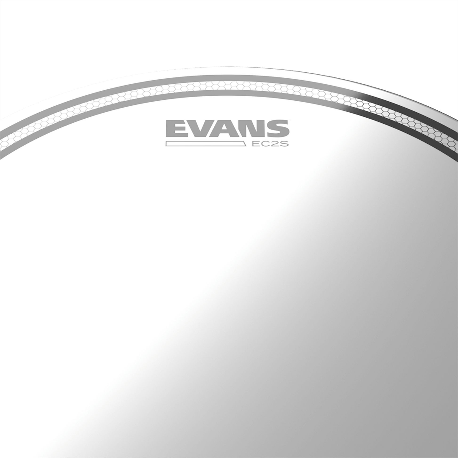 EVANS EC2 COATED DRUM HEAD, 8 INCH - Joondalup Music Centre