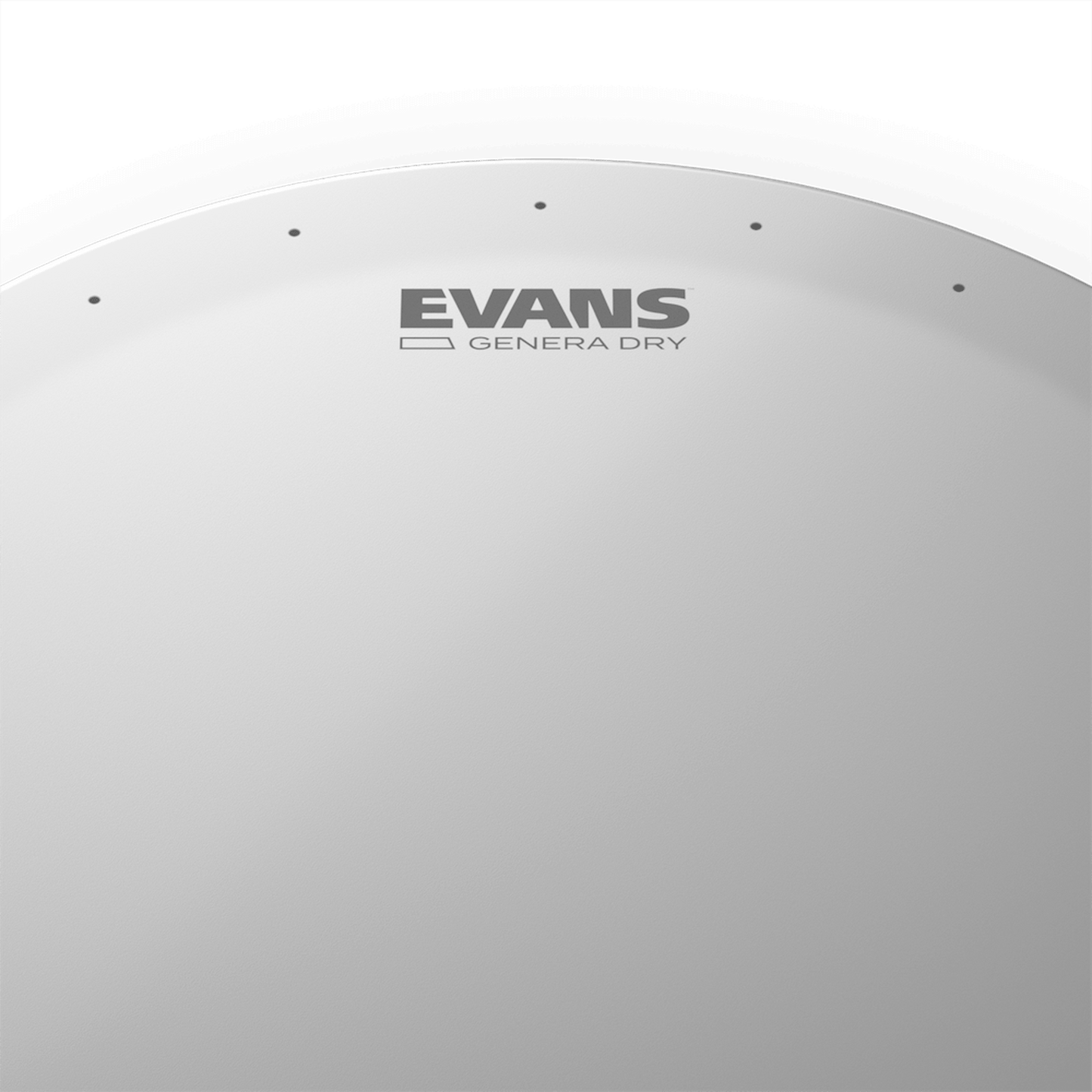 EVANS GENERA DRY DRUM HEAD, 13 INCH - Joondalup Music Centre