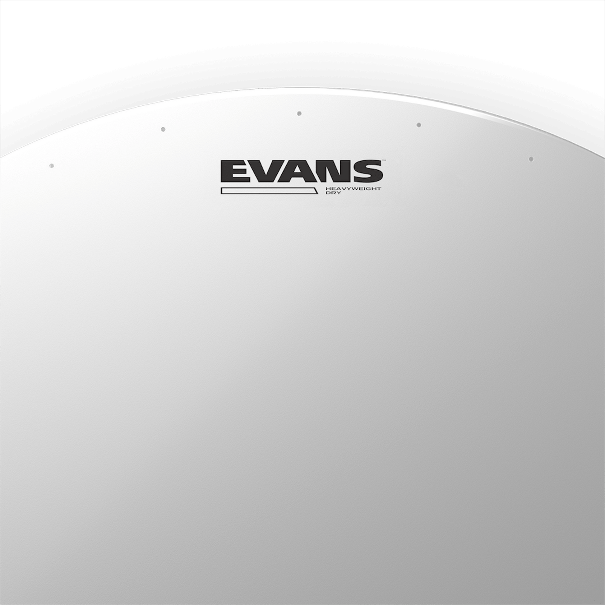 Evans Heavyweight Dry Drumhead, 14 Inch - Joondalup Music Centre
