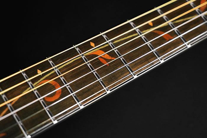 Ibanez AE245 NT Acoustic Guitar - Mahogany