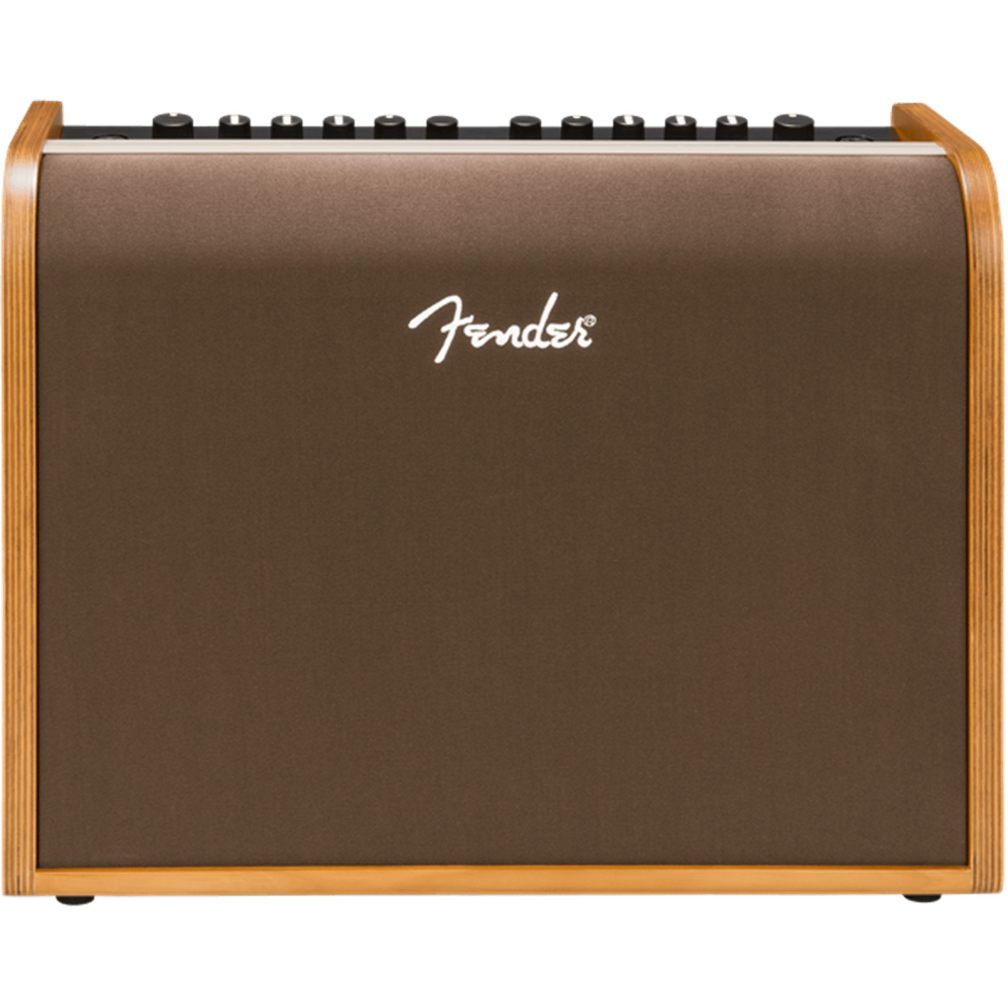 Fender Acoustic 100 Guitar Amplifier - Joondalup Music Centre