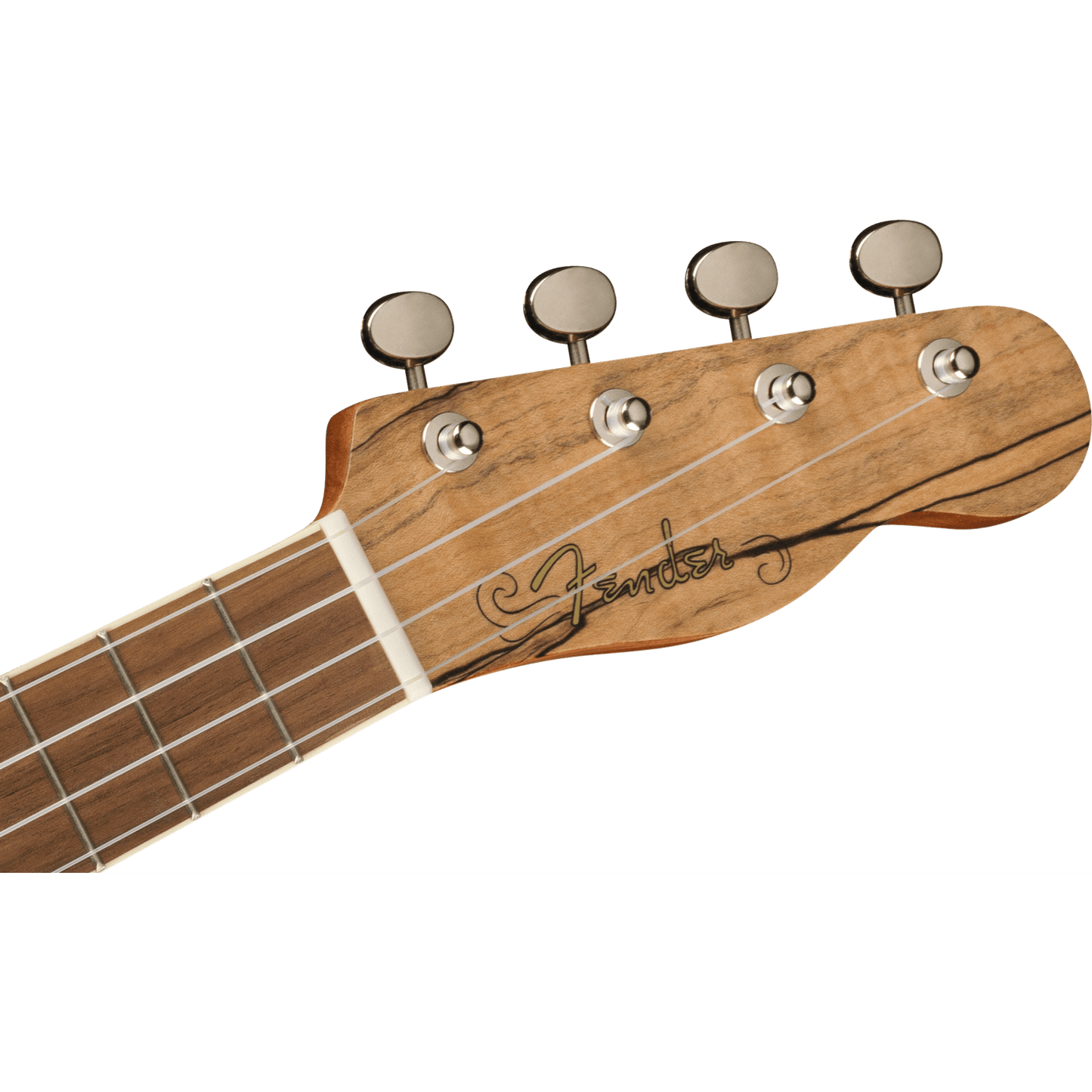 FENDER ZUMA EXOTIC CONCERT UKULELE - SPALTED MAPLE - Joondalup Music Centre