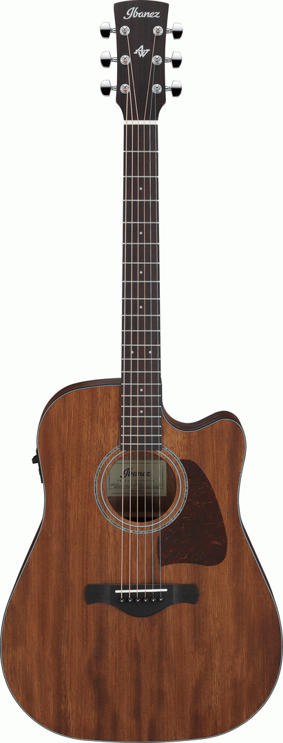 Ibanez AW247CE Acoustic Guitar - Wide Neck - Joondalup Music Centre