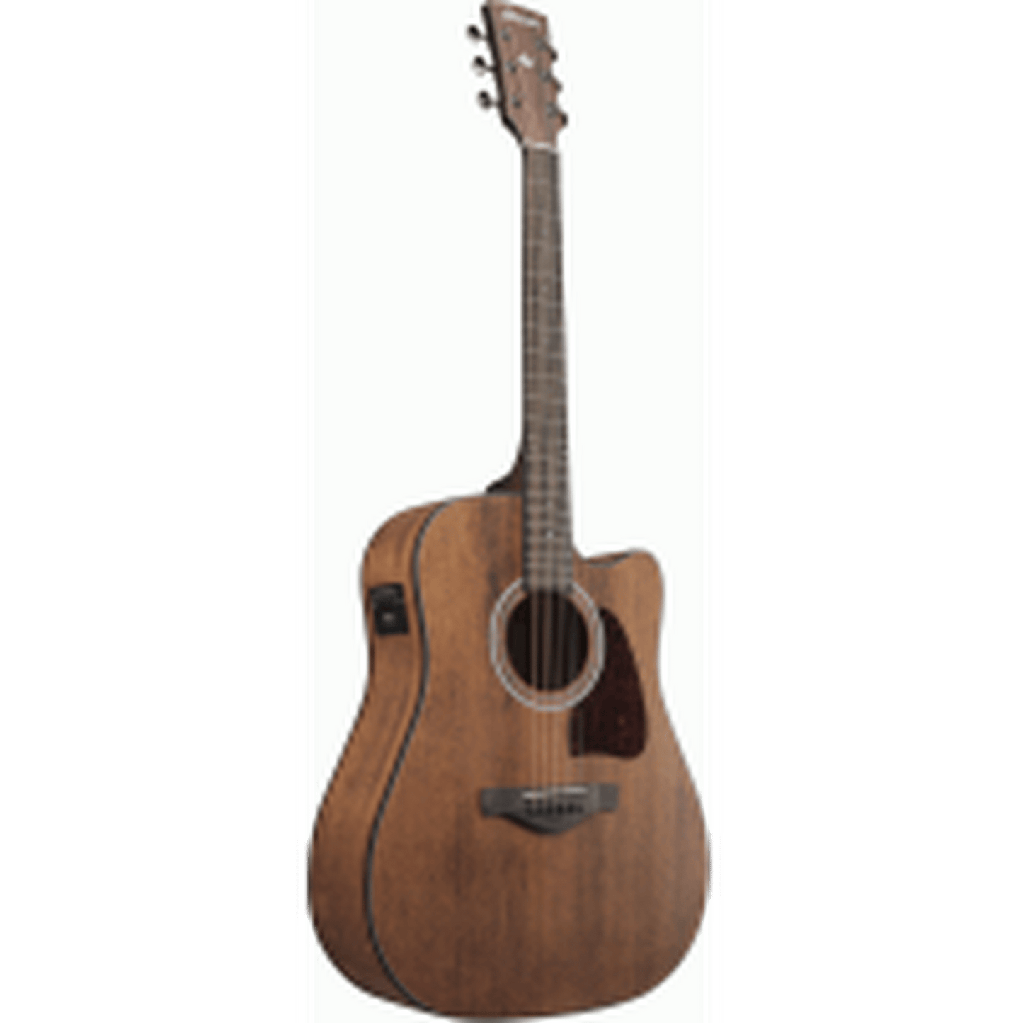 Ibanez AW54CE Acoustic Guitar - Okoume - Joondalup Music Centre