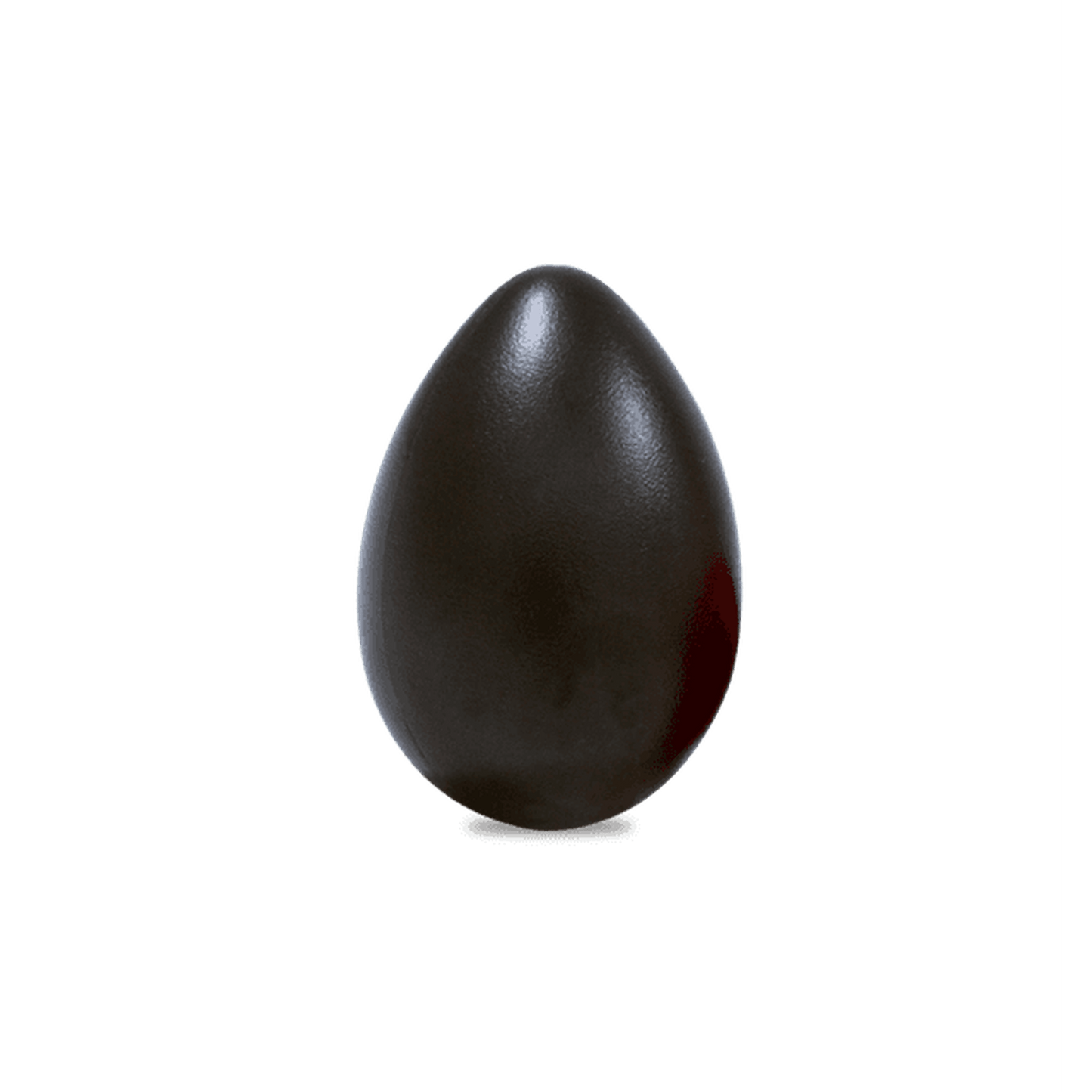LP Large Egg Shaker Black - Joondalup Music Centre