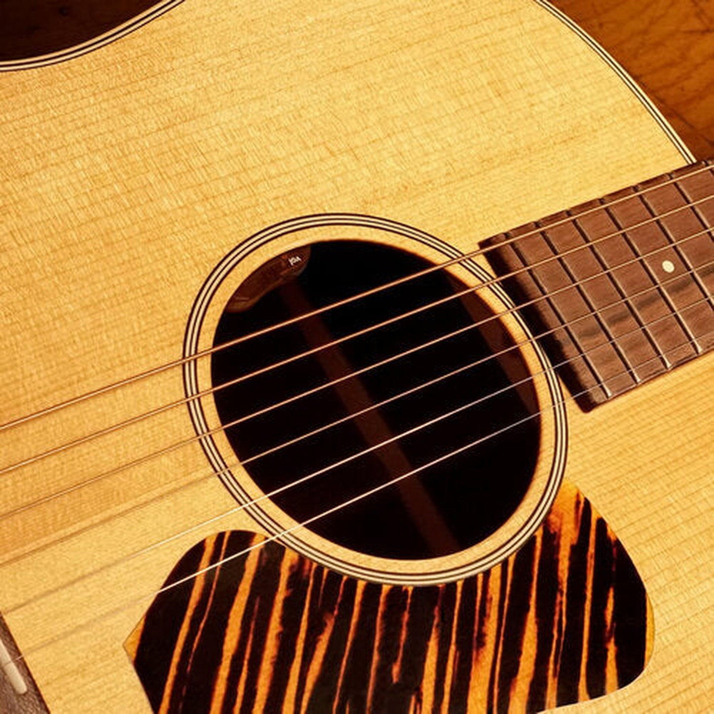 LR BAGGS EAS-VTC ELEMENT ACTIVE PICKUP SYSTEM WITH VOLUME & TONE CONTROL - Joondalup Music Centre