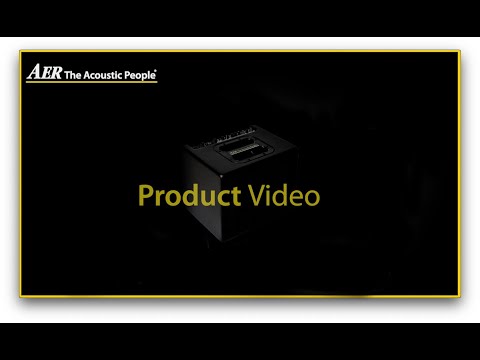 AER Compact 60 Acoustic Instrument Amplifier - Natural Oak Finish
