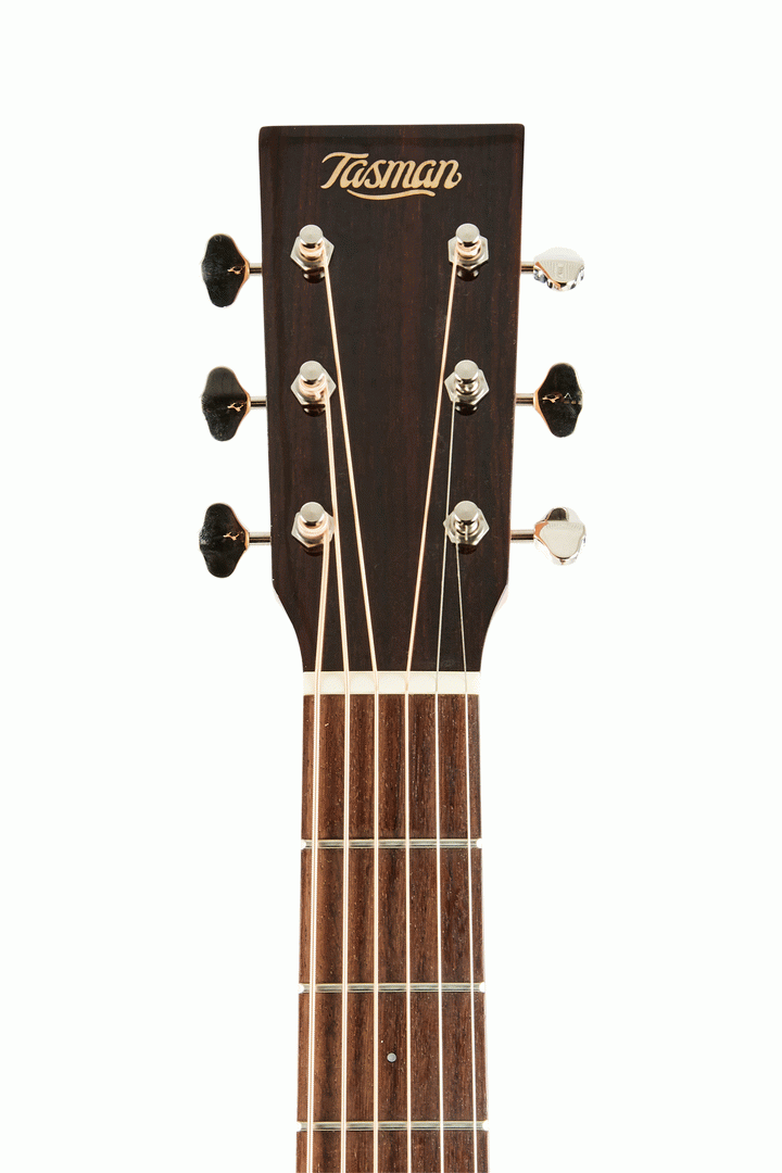 Tasman TA200-E Acoustic Guitar w/ Case - Joondalup Music Centre