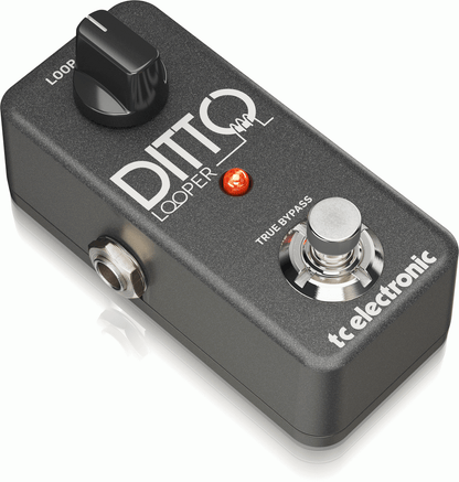 TC Electronic Ditto Looper Pedal - Joondalup Music Centre