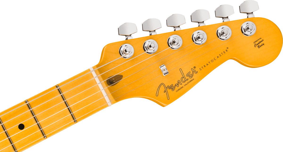 Fender American Professional Stratocaster MN - Black
