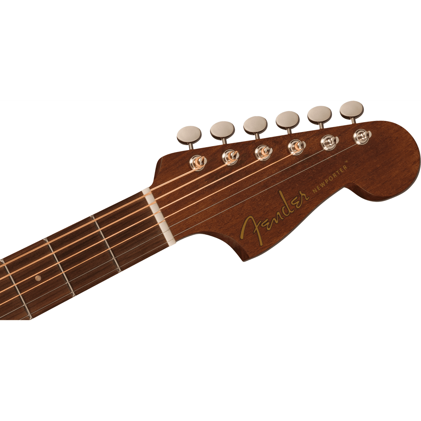 Feder Newporter Special Acoustic Guitar - Honey Burst-ACOUSTIC GUITAR-Joondalup Music Centre