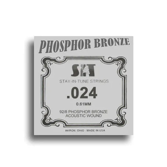SIT Guitar Single String - 24 Acoustic