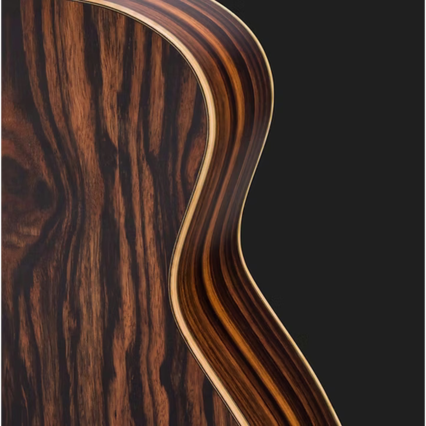 Bromo Rocky Mountain Concert Cutaway Acoustic Guitar - Spruce Top back and side
