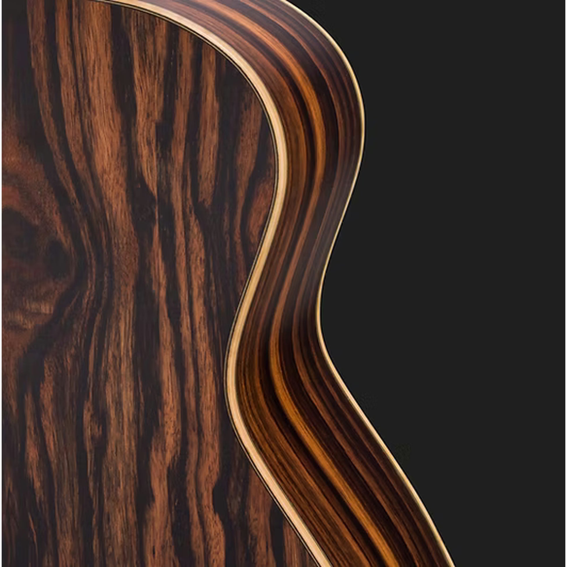 Bromo Rocky Mountain Concert Cutaway Acoustic Guitar - Spruce Top back and side