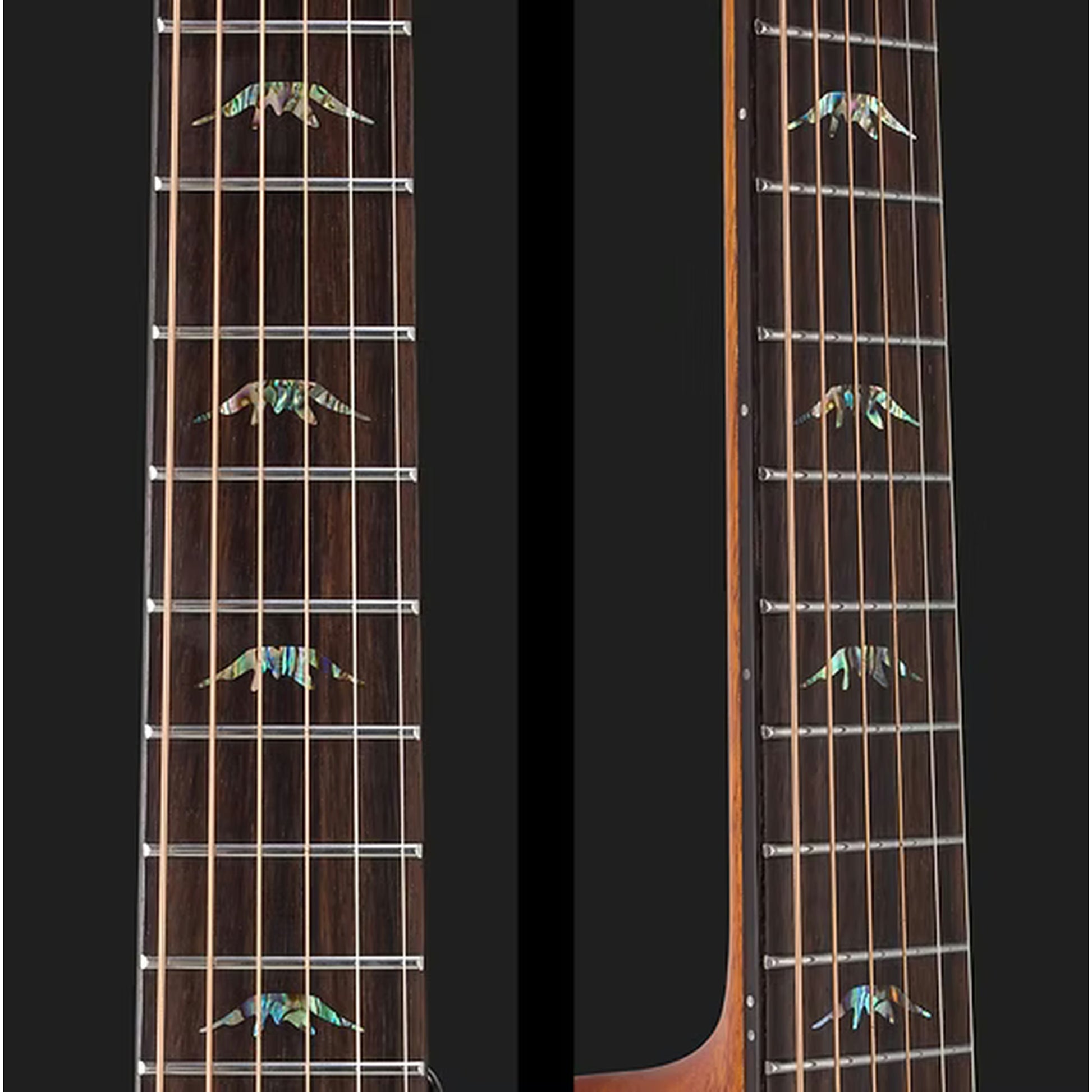 Bromo Rocky Mountain Concert Cutaway Acoustic Guitar - Spruce Top fret board