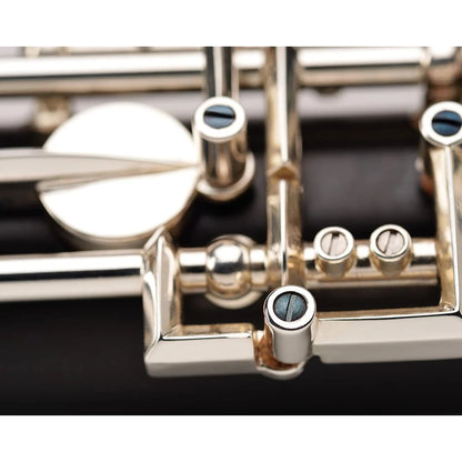 Buffet Prodige Conservatoire Oboe (BC4062-2-0)