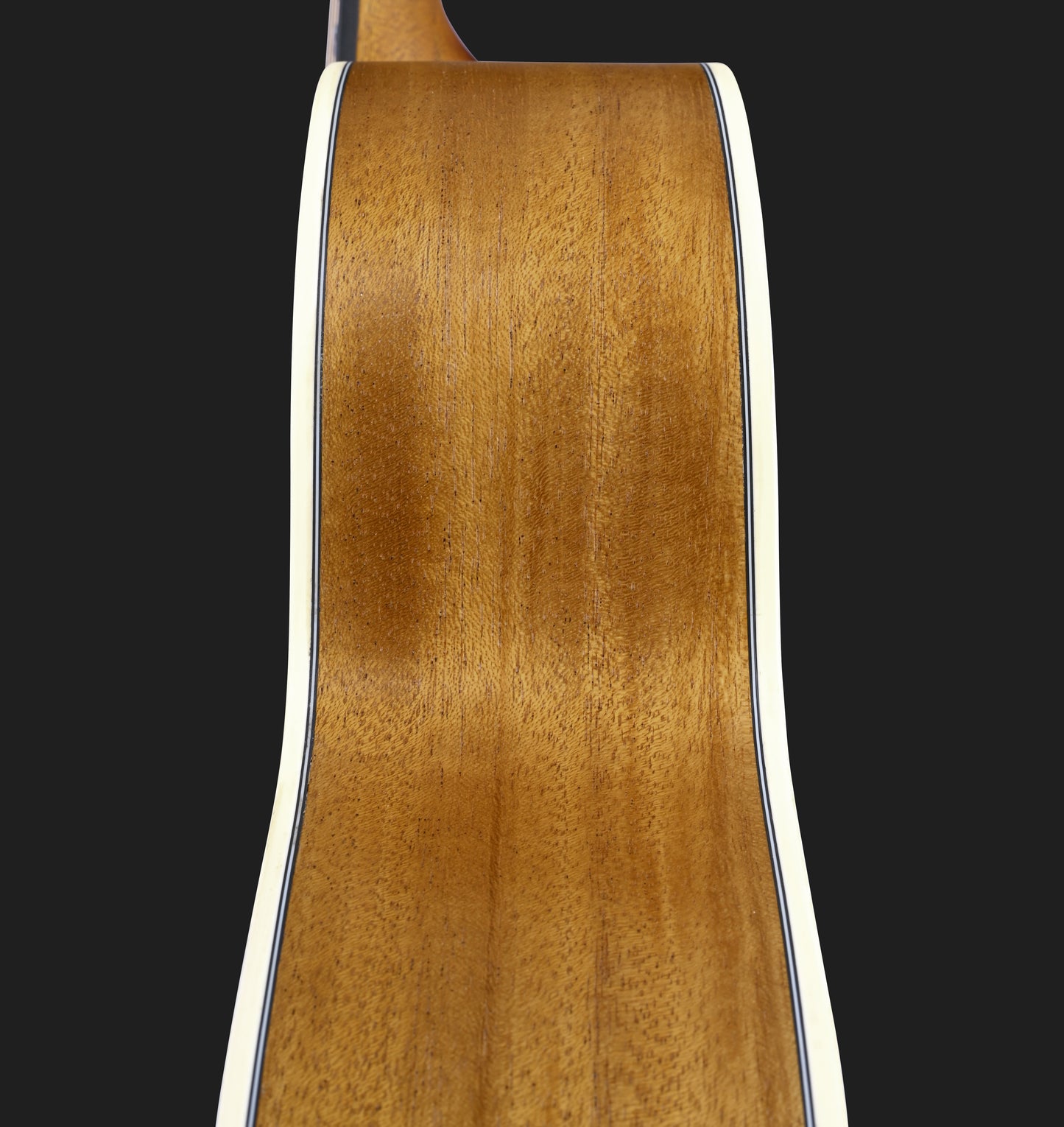 Bromo Appalachia Mini Jumbo Acoustic Guitar side