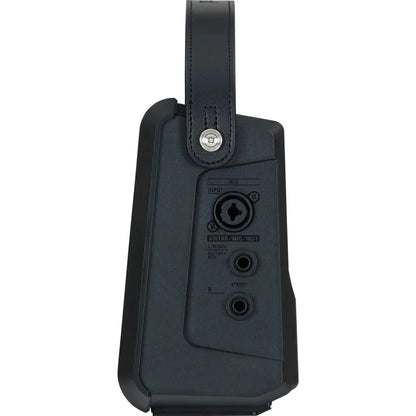 Roland Cube Street Mini Amplifier - CUBESTMI side inputs
