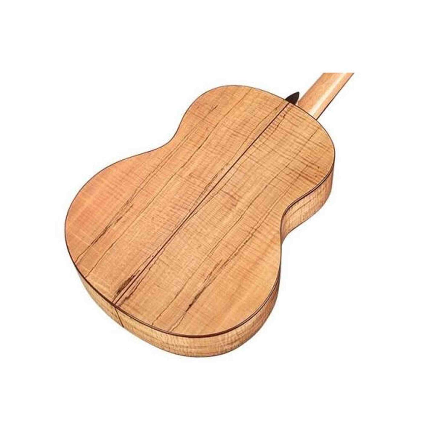 Cordoba C5 Crossover Ltd Ed Spalted Maple Classical Guitar from Joondalup Music Centre 3