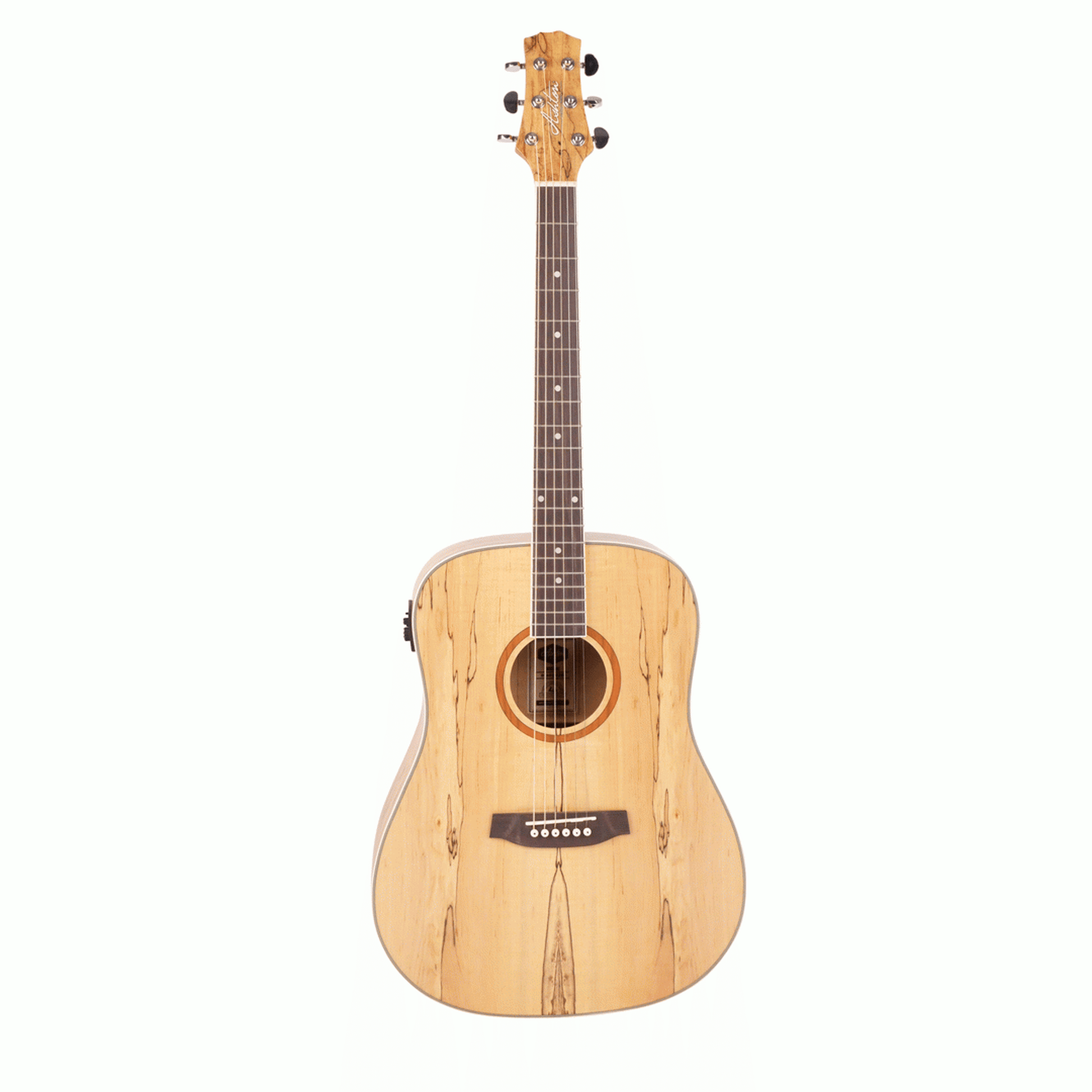 Ashton D26EQ Dreadnought Acoustic Guitar - Spalted Maple - Joondalup Music Centre