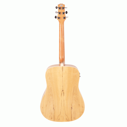 Ashton D26EQ Dreadnought Acoustic Guitar - Spalted Maple - Joondalup Music Centre