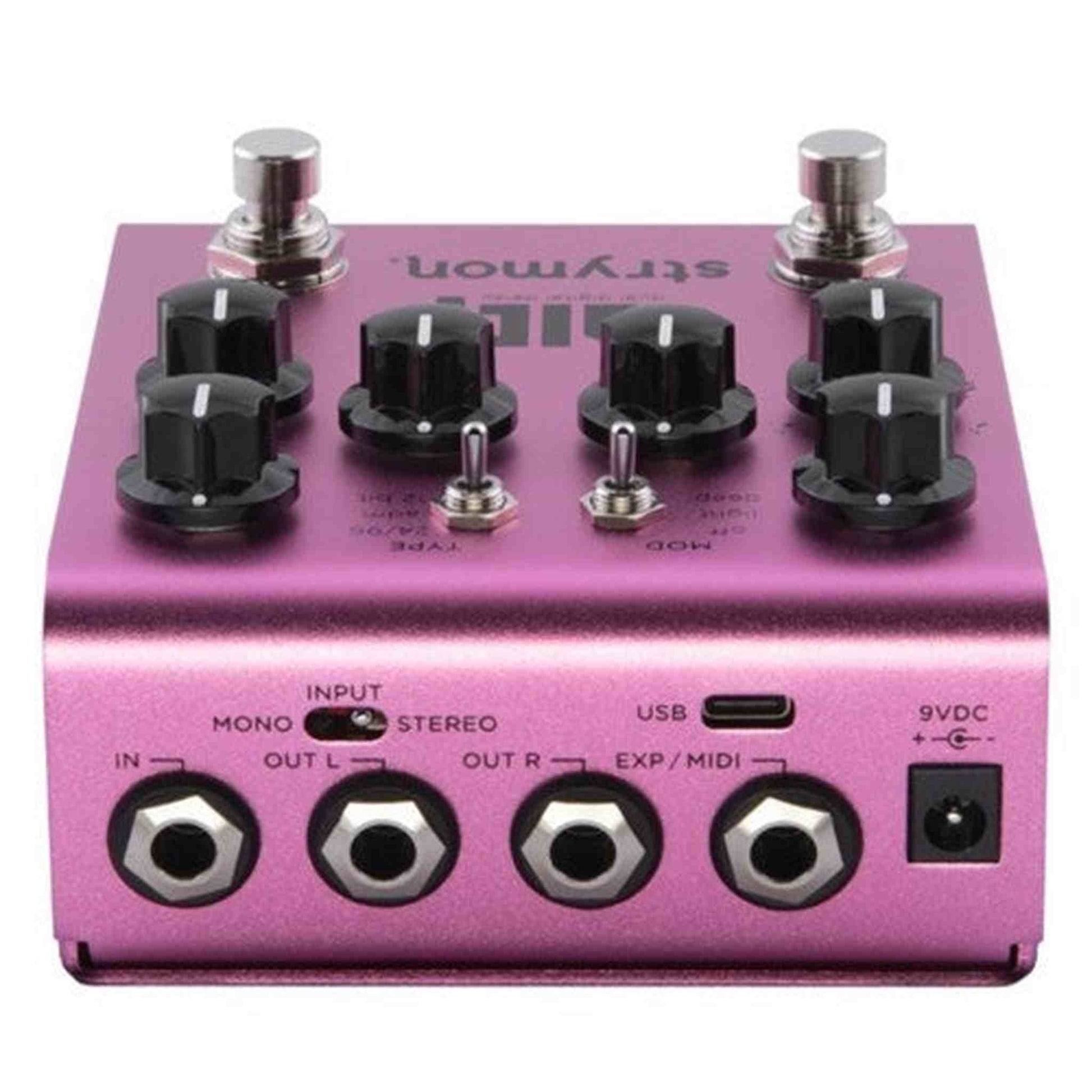 Strymon Dig V2 - Dual Digital Delay Pedal inputs