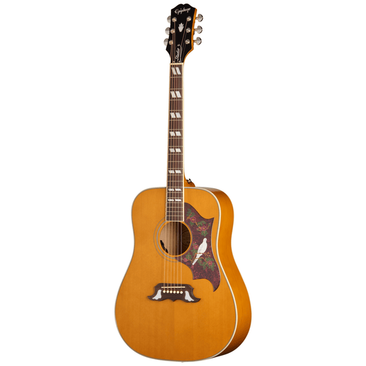 Epiphone Dove Studio Acoustic Guitar - Natural