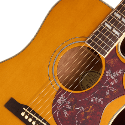 Epiphone Hummingbird Studio EC Acoustic Guitar - Natural from Joondalup Music Centre 3